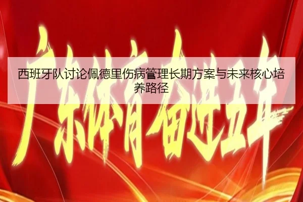 西班牙队讨论佩德里伤病管理长期方案与未来核心培养路径