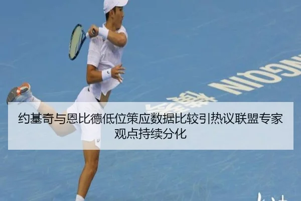 约基奇与恩比德低位策应数据比较引热议联盟专家观点持续分化
